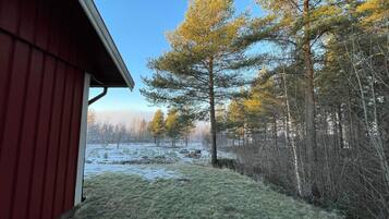 House | Property grounds