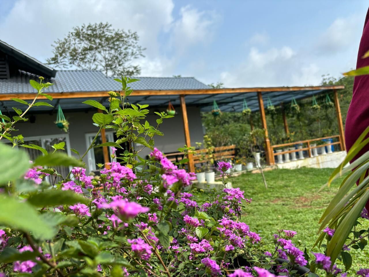 Jardines del alojamiento