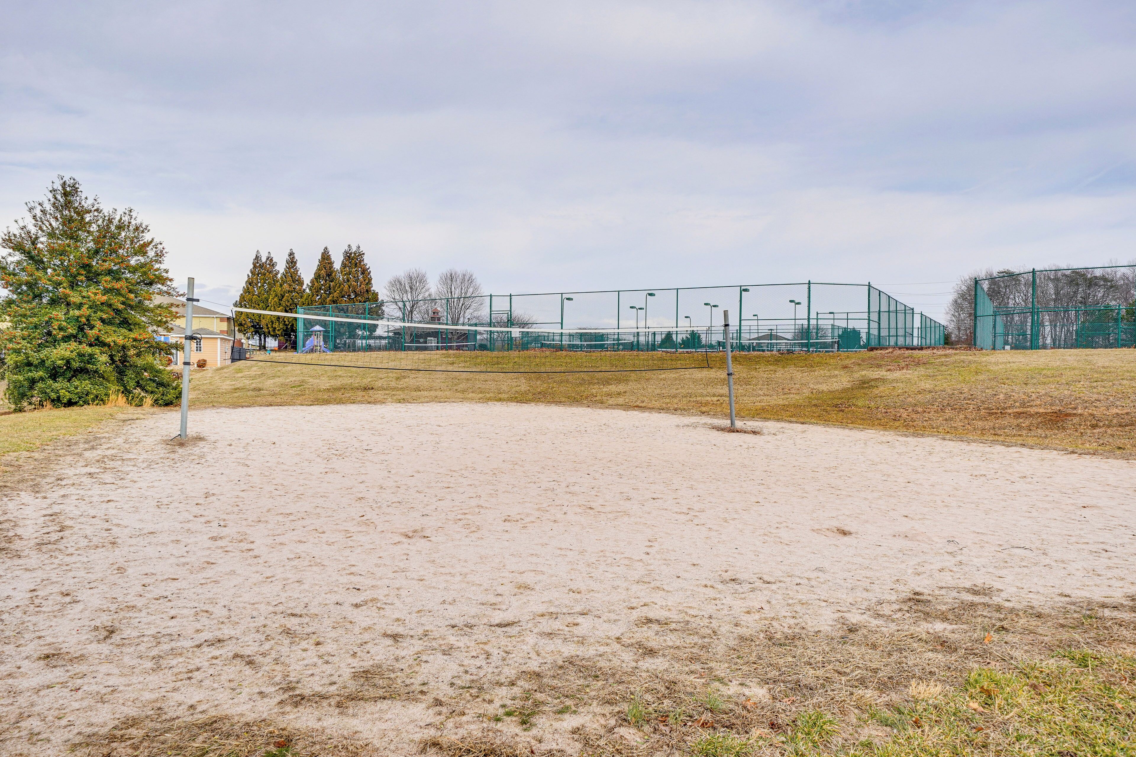 A sports field with a netted fence, a goalpost, and a small tree.