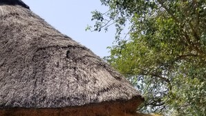 A rustic building with a thatched roof and a wooden porch. - savannah murchison lodge (Paraa)
