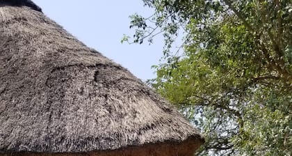 savannah murchison lodge