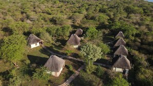 A group of thatched-roof huts surrounded by dense greenery, with a clear view of a lake in the background. - savannah murchison lodge (Paraa)