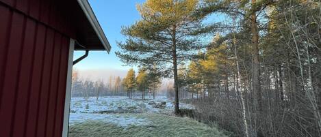 House | Property grounds