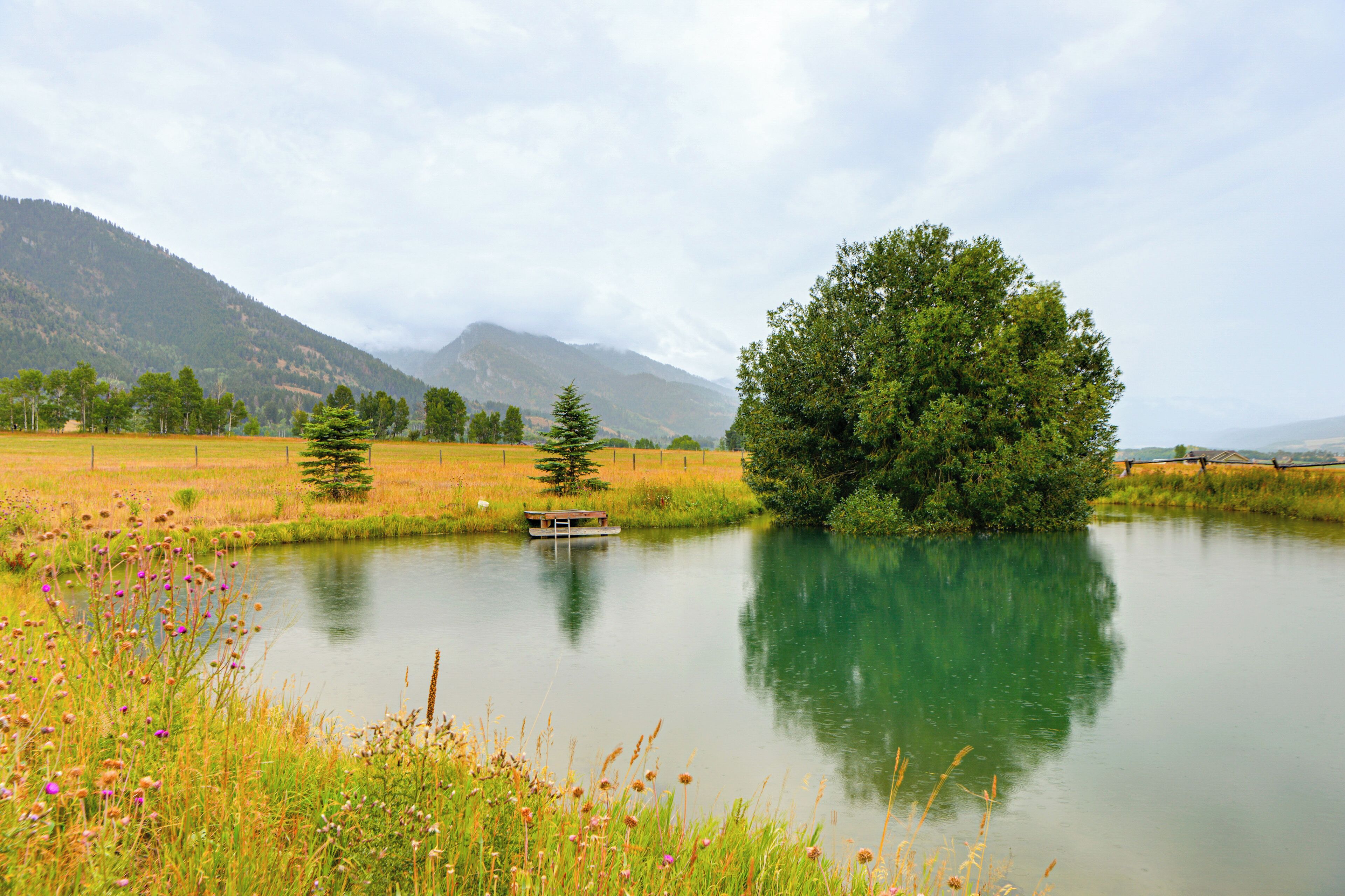 A tranquil lake with a wooden dock, surrounded by lush greenery and distant mountains.