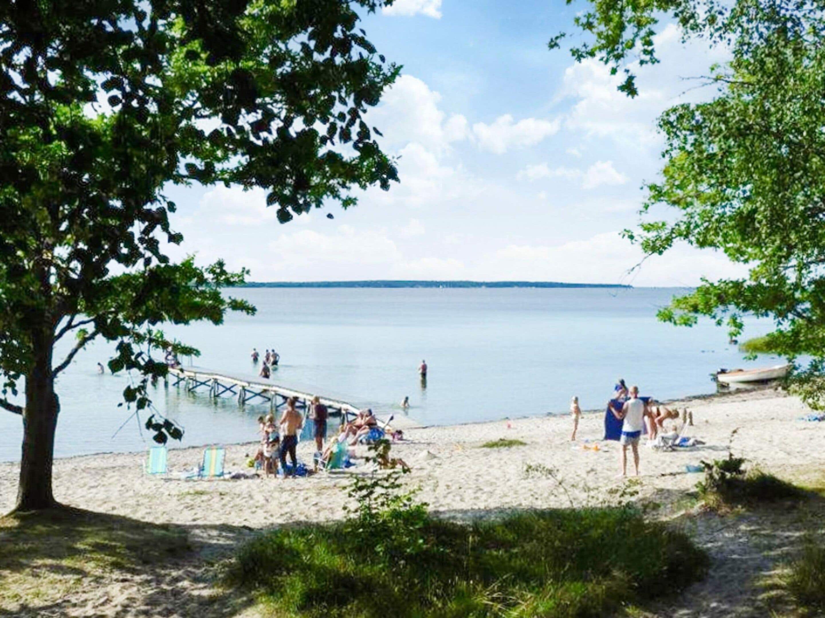 Een strand met een pier die zich uitstrekt in kalm water, omringd door bomen en mensen die van de omgeving genieten.