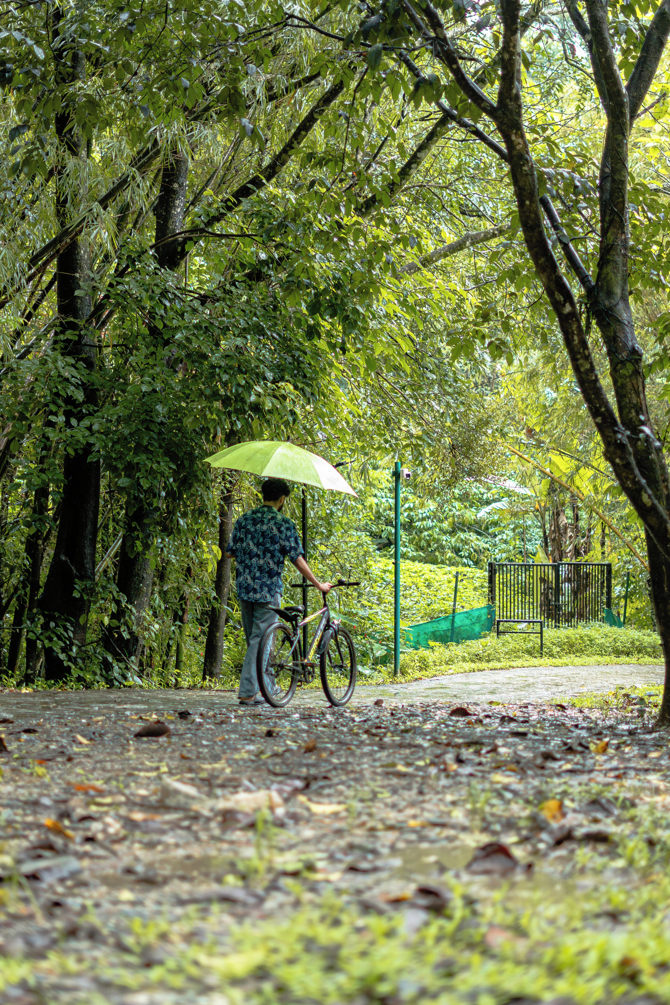 Uma pessoa com bicicleta e guarda-chuva caminhando por um caminho rodeado de árvores.