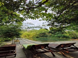 Una piscina al aire libre