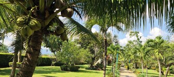 Beautiful bungalow with shared outdoor pool and 2km from the beach