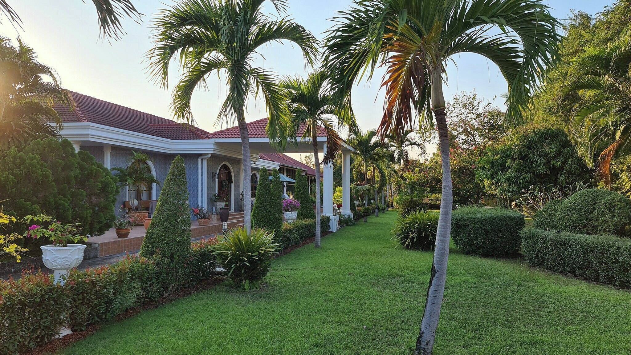 A well-maintained garden with palm trees and a house with a red-tiled roof.