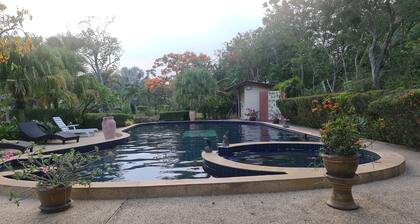 Beautiful bungalow with shared outdoor pool and 2 km from the sandy beach