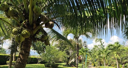 Beautiful bungalow with shared outdoor pool and 2 km from the sandy beach