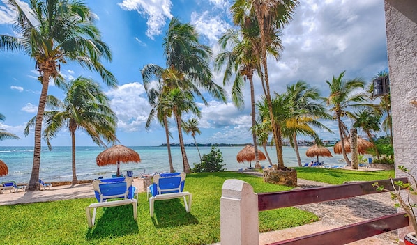A beachside view with palm trees, a thatched umbrella, and lounge chairs.