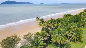 Una playa con palmeras y vista al océano.