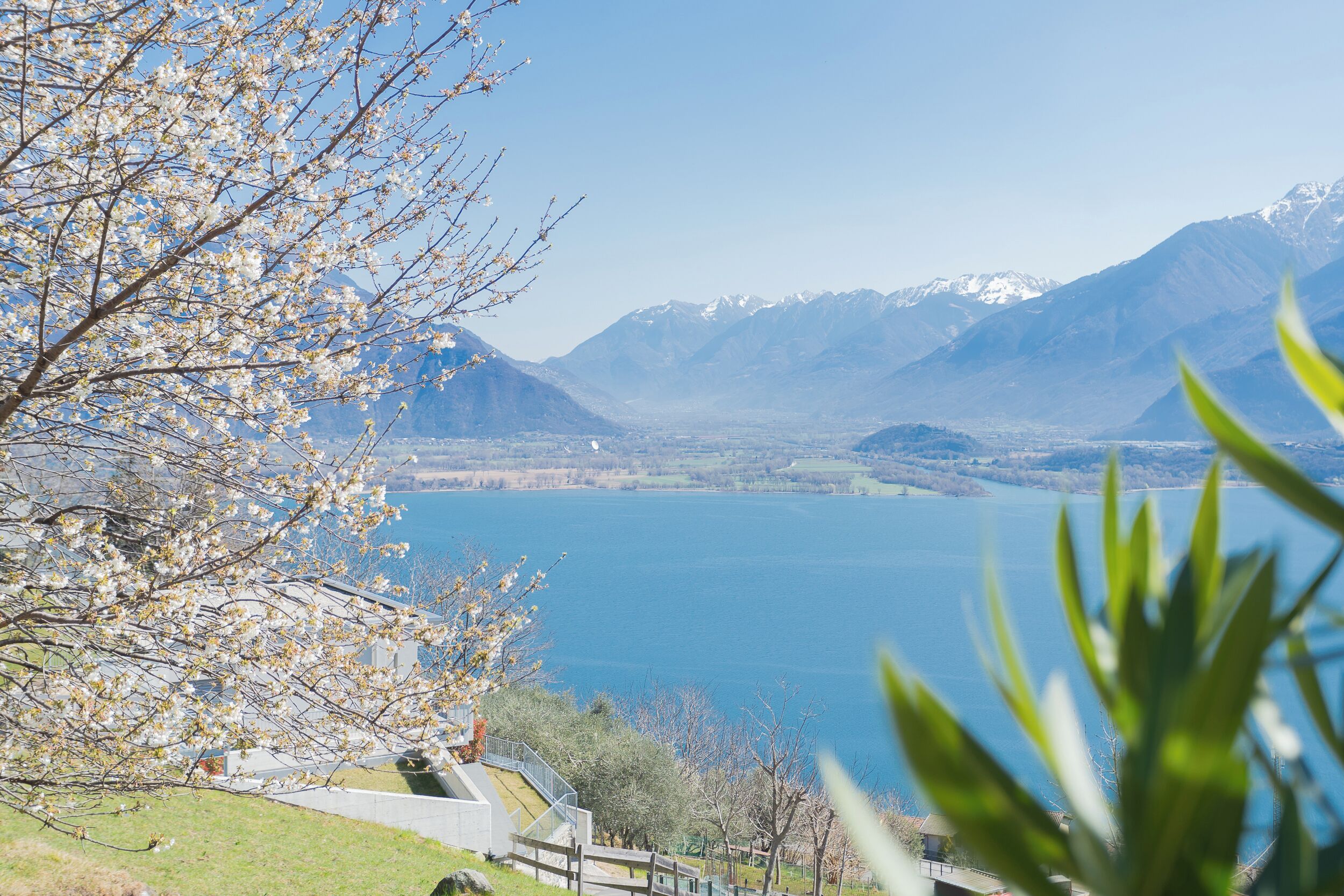 Paesaggio montuoso con un lago, un edificio con un balcone che si affaccia sul lago, e un albero sullo sfondo.