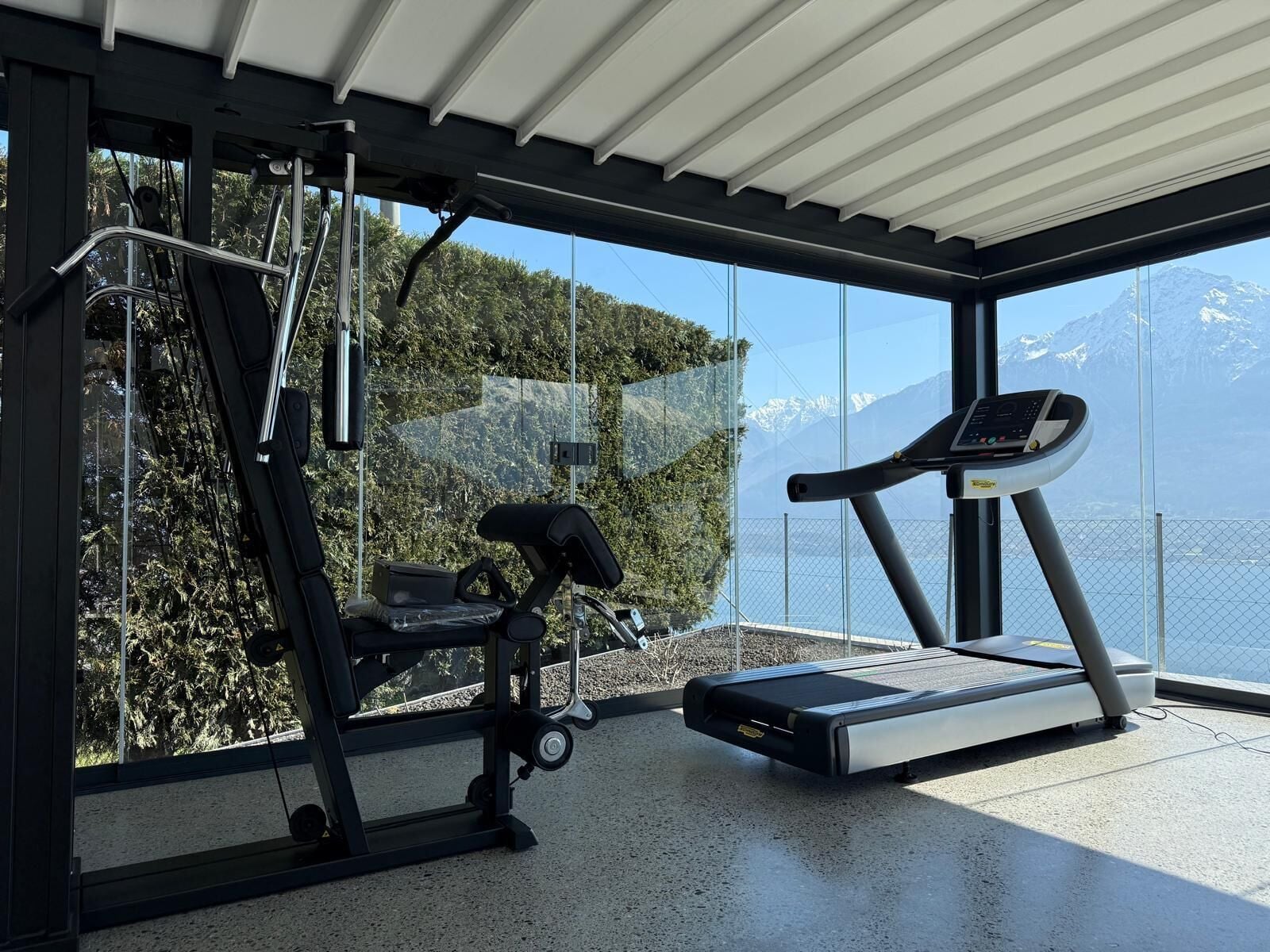 A modern gym with a treadmill and weight machines, large windows with a mountain view.