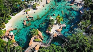 恒温泳池