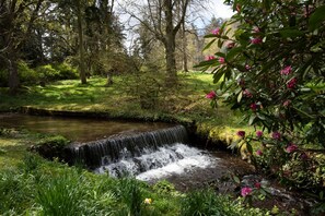 A small waterfall in a lush, green forest setting.