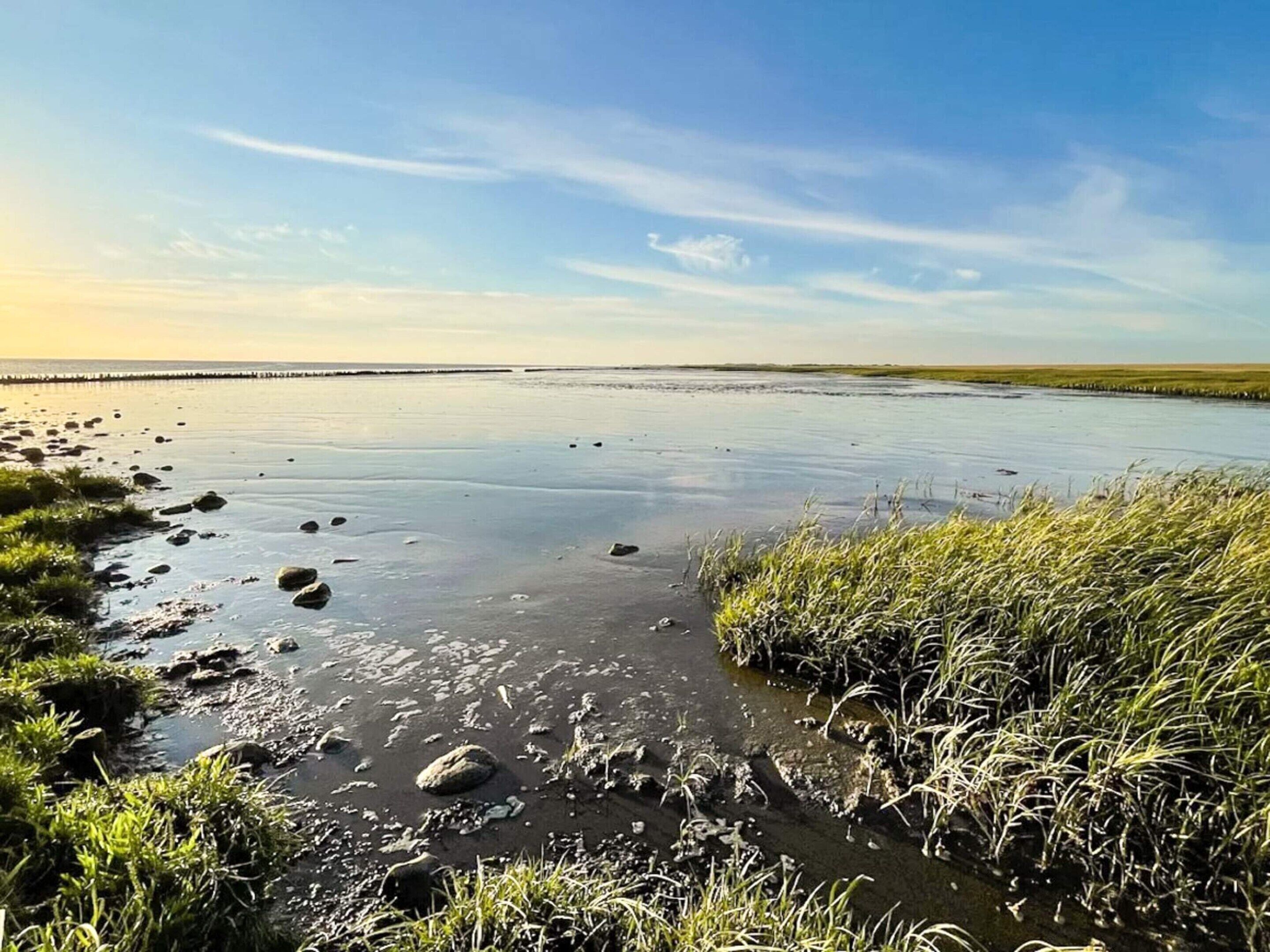 A calm river with rocks and grass along the banks.