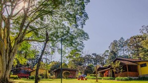 A rural setting with multiple wooden cabins surrounded by lush greenery and trees. - Pousada Pau Brasil (Maringá)