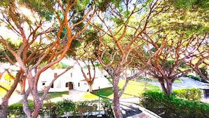A tree-lined pathway leading to a white building with a central entrance. - Albufeira Açoteias Villa by Homing (Albufeira)