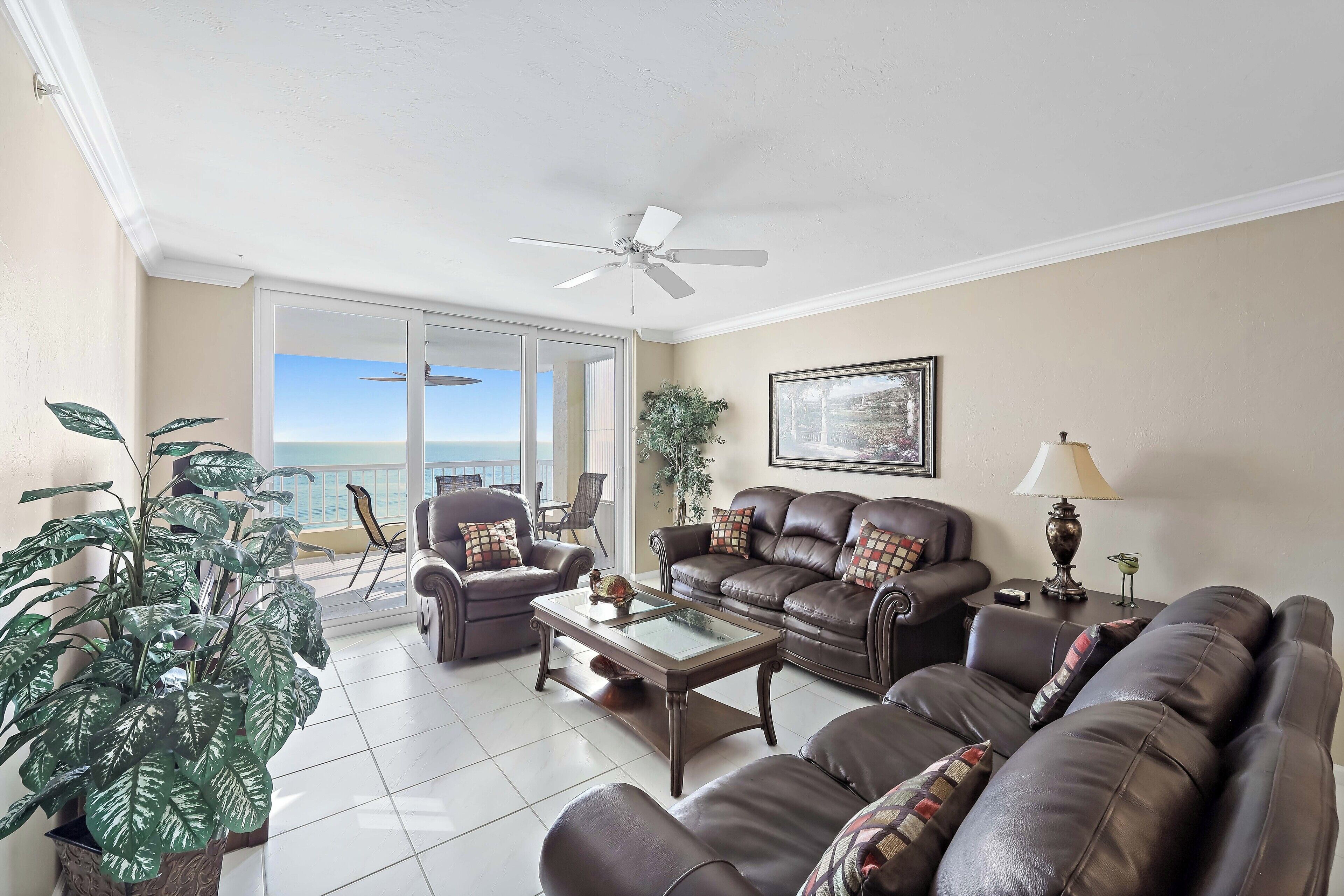 A living room with a ceiling fan, two leather sofas, a coffee table, and a large potted plant.