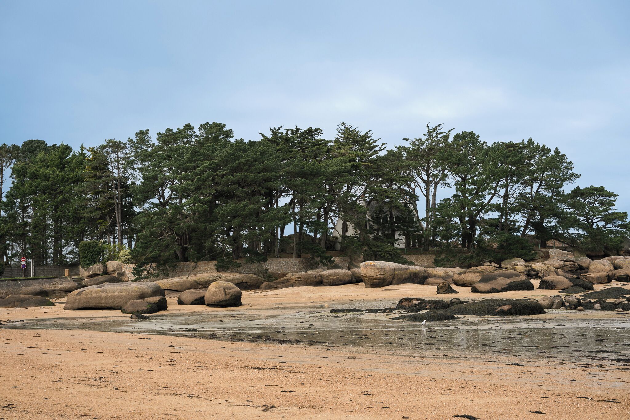 A beach with large rocks and trees in the background.