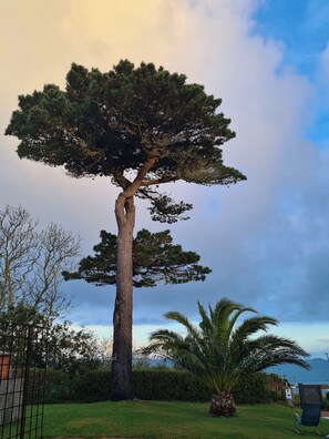 Property grounds - 50 m from the beach, pretty Breton house in the heart of the Pink Granite Coast (Trégastel)