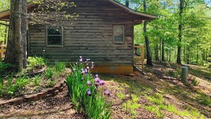 A rustic cabin surrounded by trees and a garden with purple flowers.