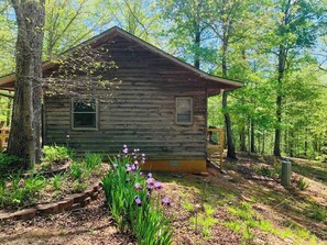 Exterior - Cove Creek Cabin & Preserve (Rutherford County)
