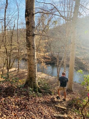 Property grounds - Cove Creek Cabin & Preserve (Rutherford County)