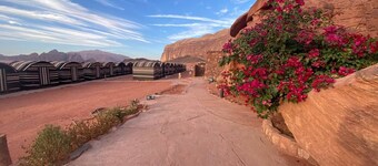 Wadi Rum Golden Camp & Tours