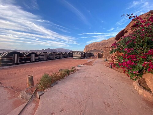 Wadi Rum Golden Camp & Tours
