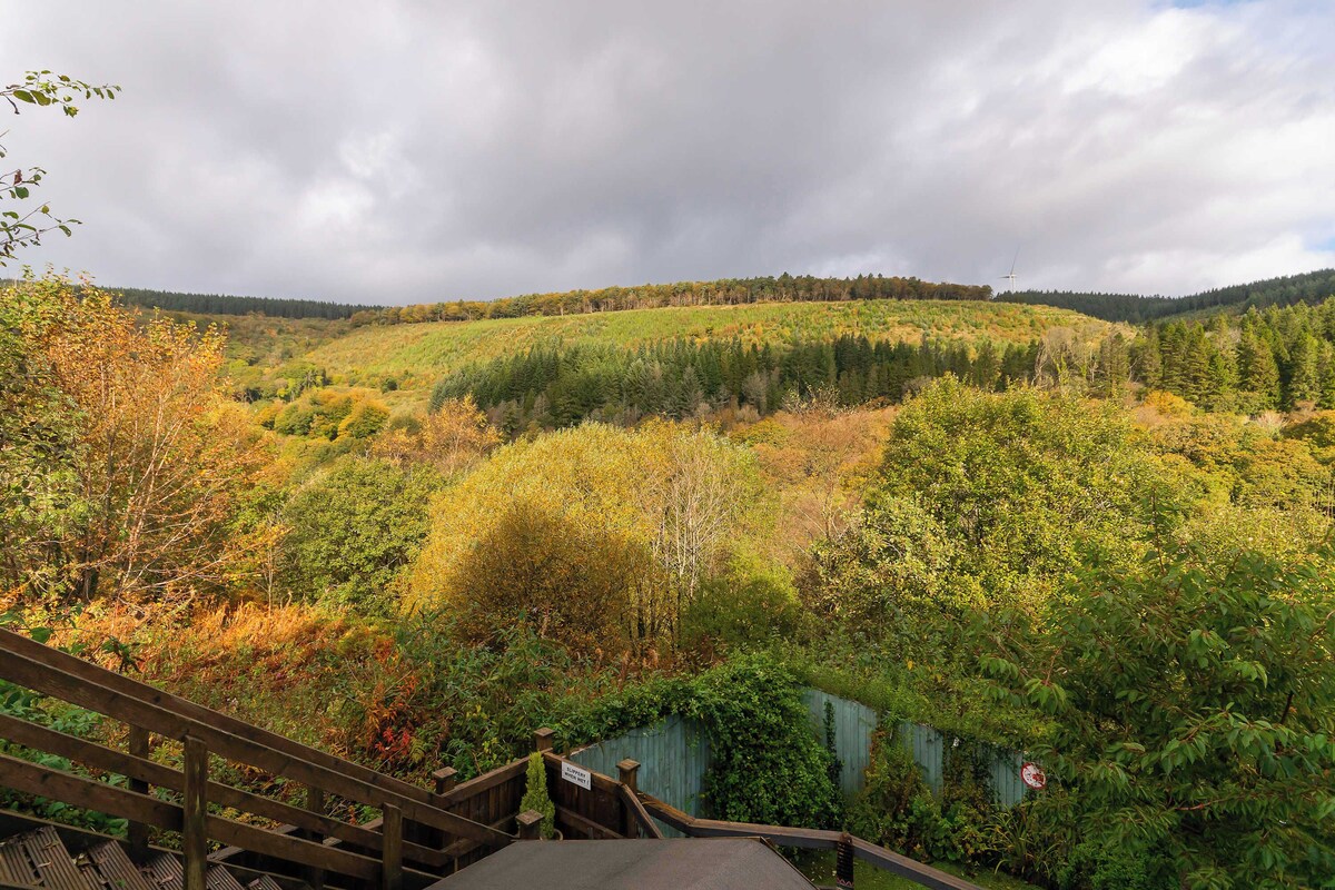 Imagen de perfil del propietario o de la propietaria