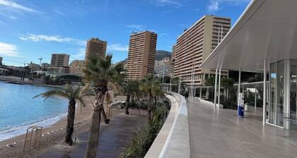 New, cosy Apt Villa Medicis Monaco & Beausoleil mountain and sea view 3 guests