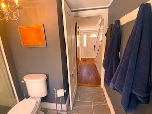Shower, towels, soap, toilet paper