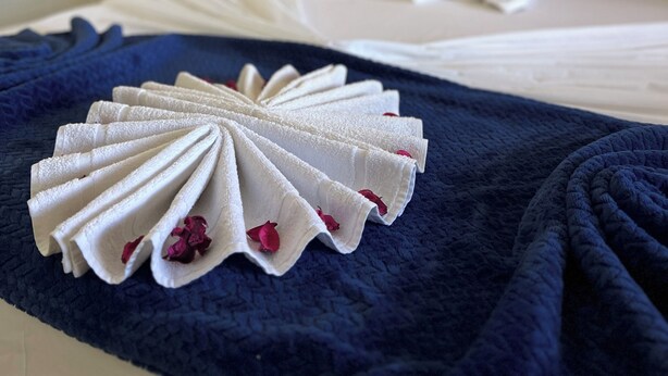 Een keurig opgemaakt bed met een gevouwen handdoek en decoratieve zwaan van een handdoek op een donkerblauwe deken.