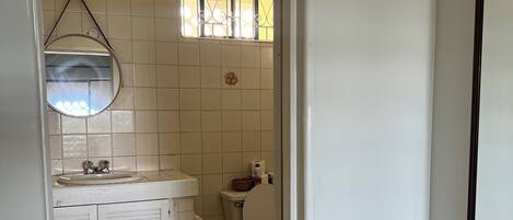 Une salle de bain avec des toilettes, un lavabo et un miroir.