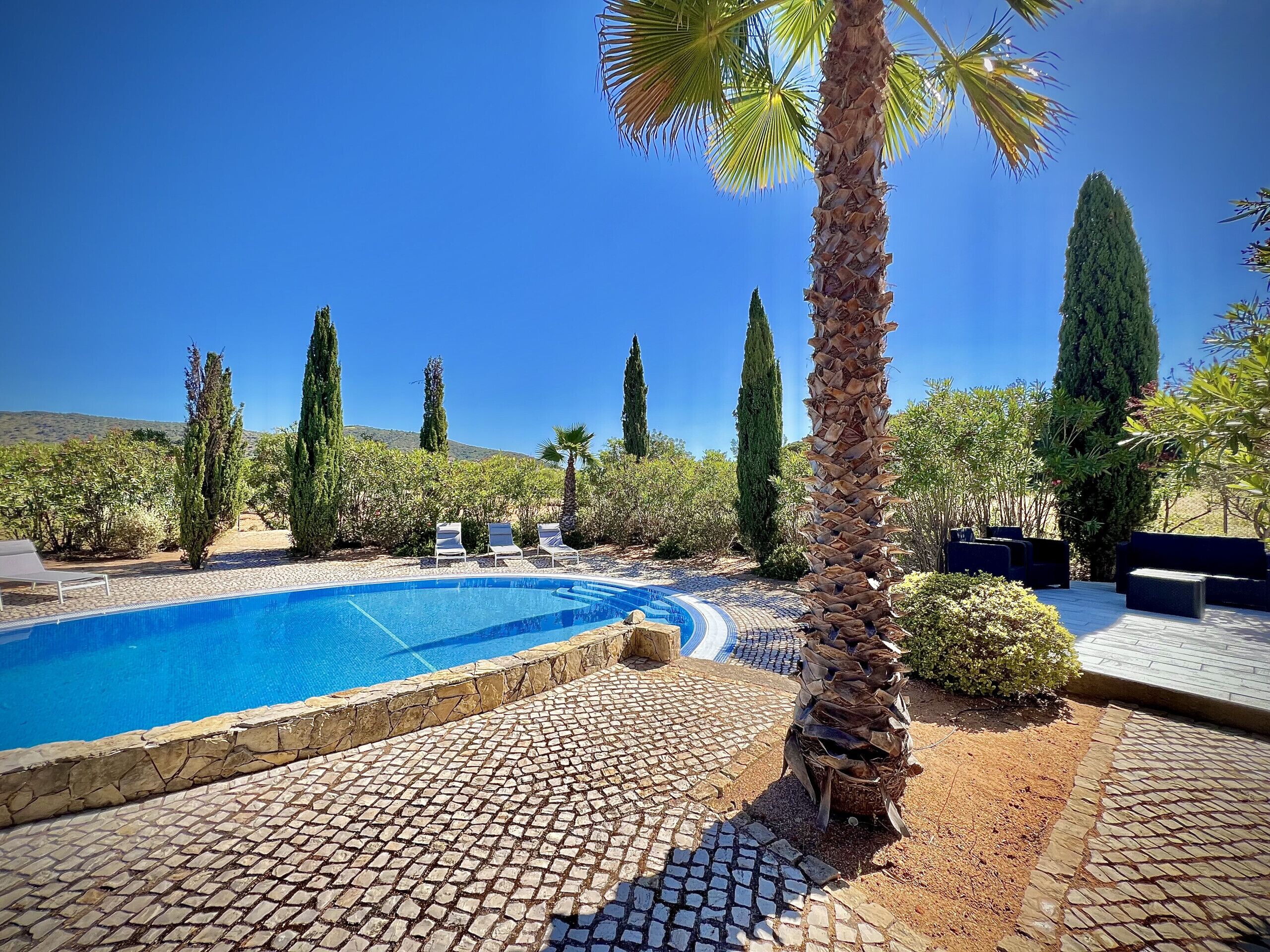 A swimming pool with lounge chairs, surrounded by palm trees and cypress trees, with a clear blue sky in the background.