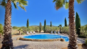 Une piscine entourée de palmiers et de cyprès, avec un ciel bleu clair en arrière-plan.