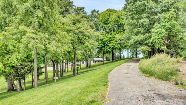A paved road curving through a grassy area with trees on both sides.