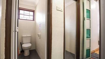 A narrow hallway with a toilet on the left, a door with a green panel on the right, and a window above the toilet.