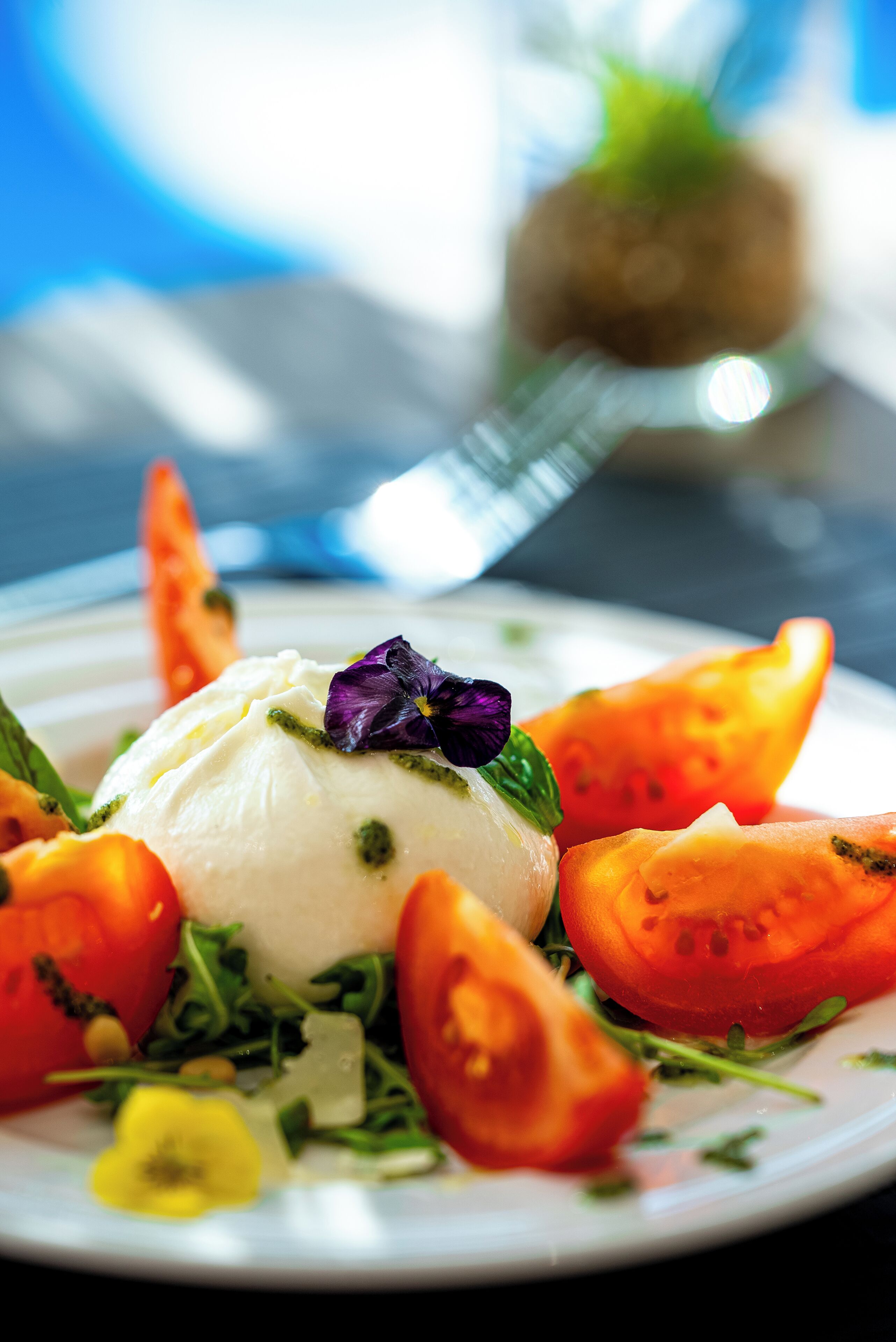 A plate with a scoop of white food, possibly ice cream, garnished with a purple flower and surrounded by sliced tomatoes and greens.
