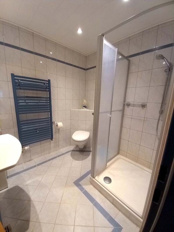 Regadera, toallas, jabón, papel de baño
