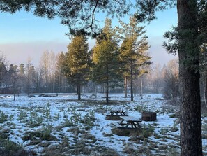 A snowy forest with picnic tables and a clear sky.