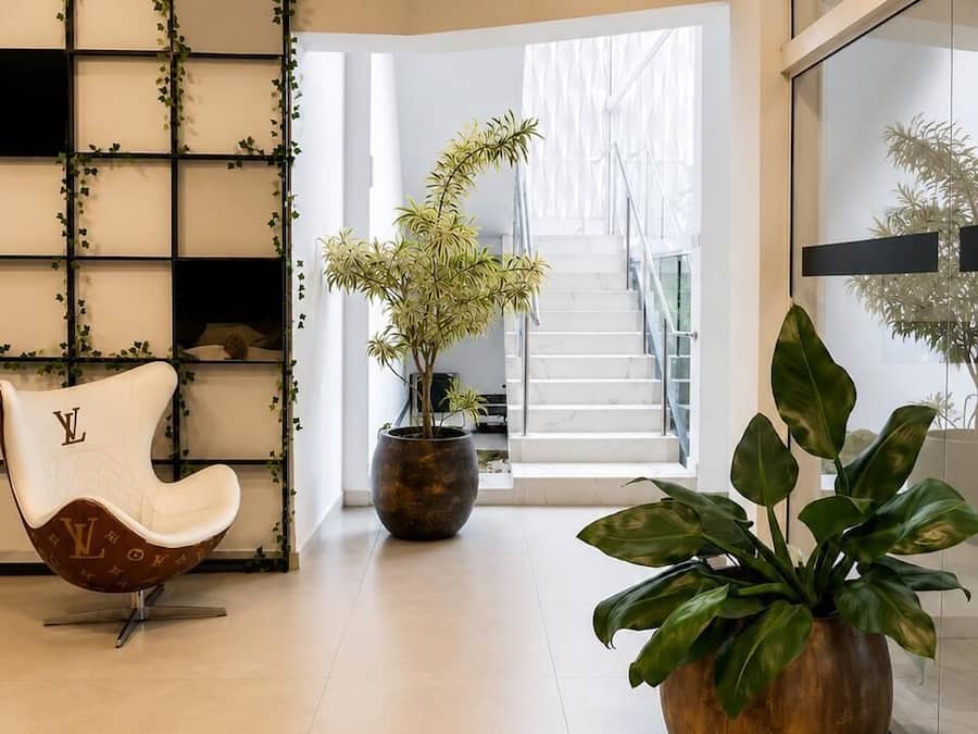 Ein modernes Interieur mit einem weißen Stuhl, einer großen Topfpflanze und einer Treppe zu einem hellen Bereich.