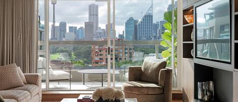 Smart TV, fireplace, books