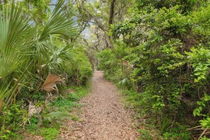 Property grounds - Chic Stay for 6 Near Beach, Shops, & Golf Course! (Hilton Head Island)