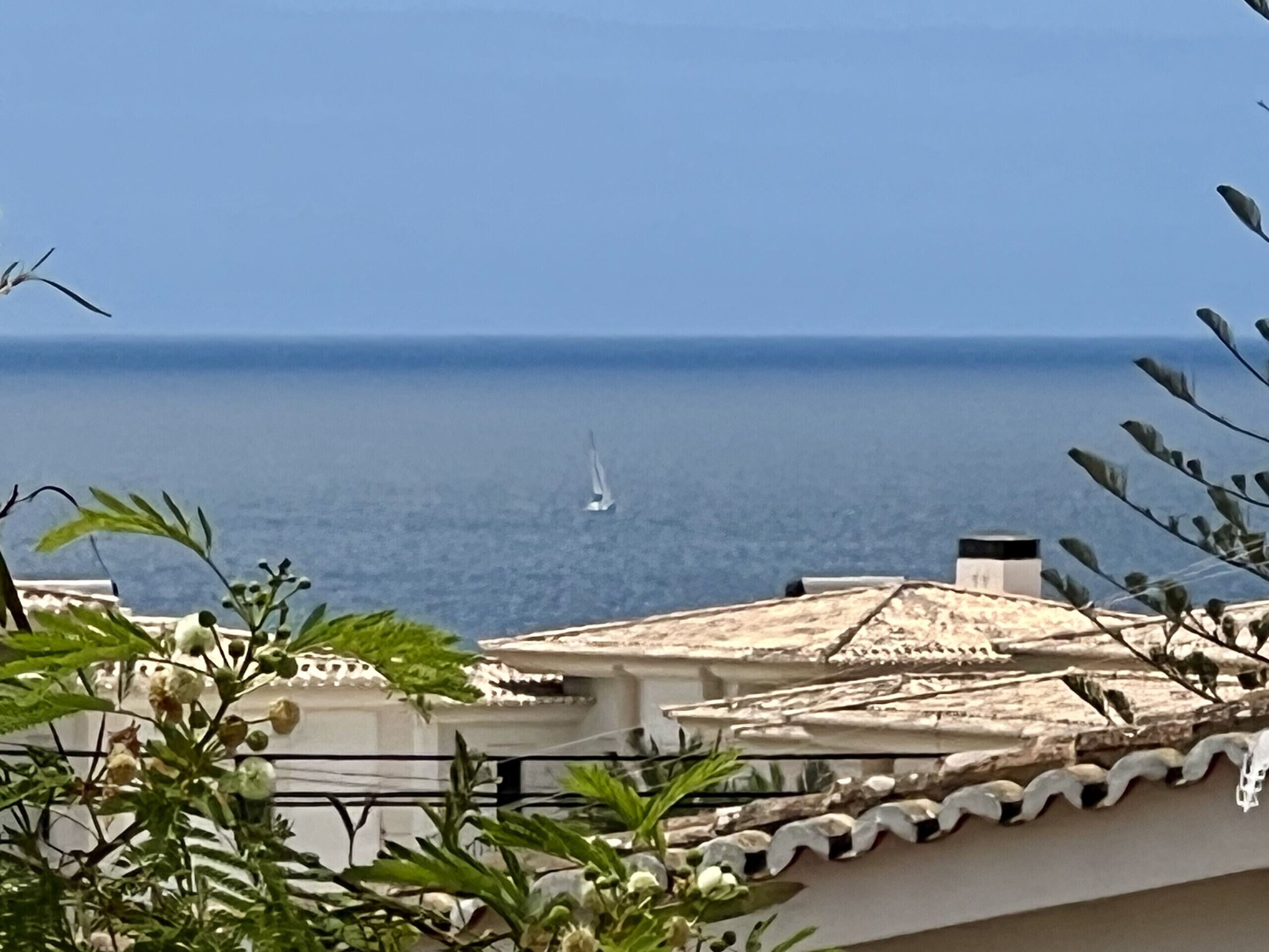 Vista costera con un velero en el agua, un edificio de techo a ladrillo y algo de vegetación en primer plano.