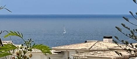Vista costera con un velero en el agua, un edificio de techo a ladrillo y algo de vegetación en primer plano.