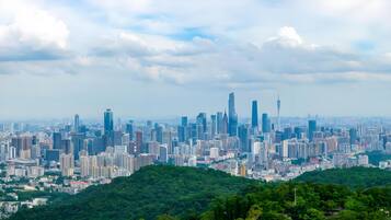 A cityscape with numerous high-rise buildings, a prominent tower, and a lush green hill in the foreground.